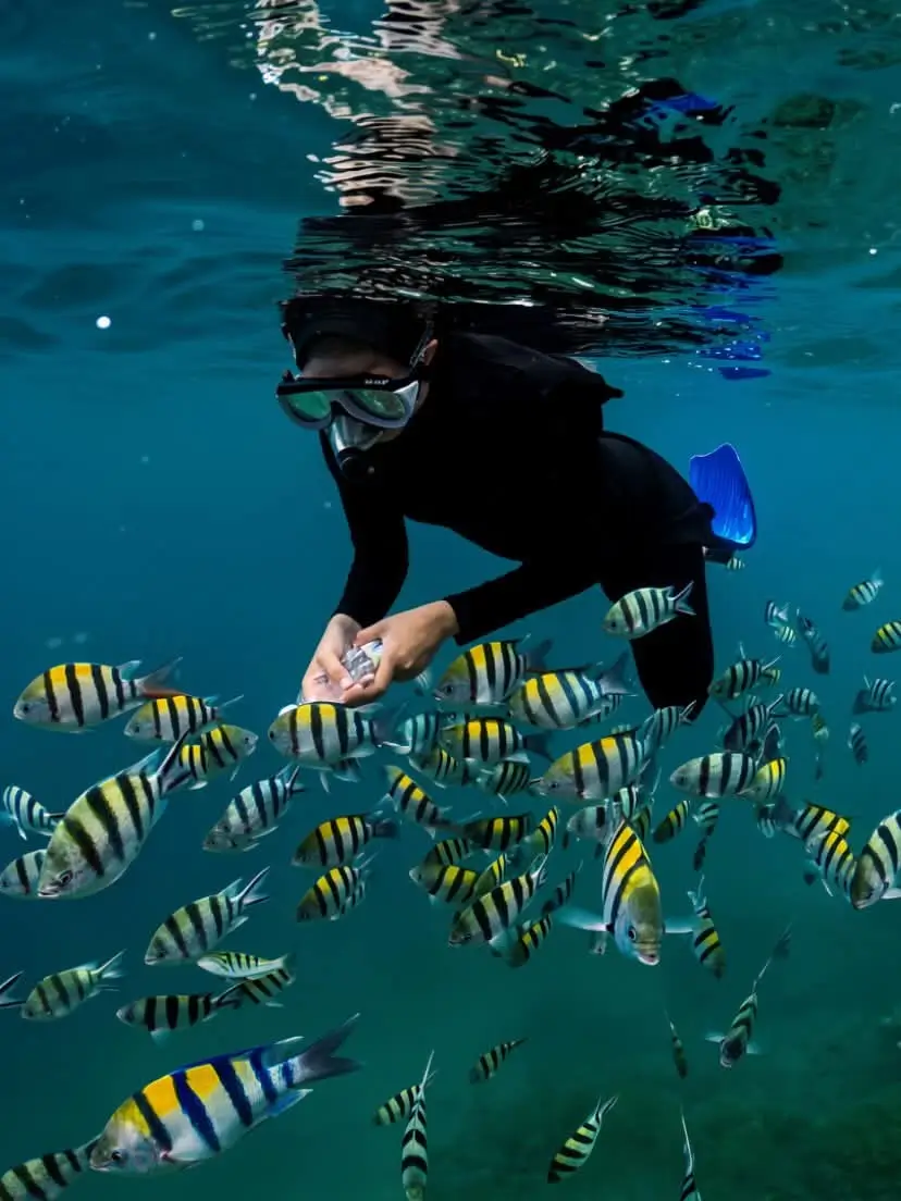 Gili Islands Hopping Tour (Air, Meno & Trawangan)