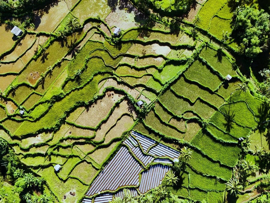 Lombok Landscape
